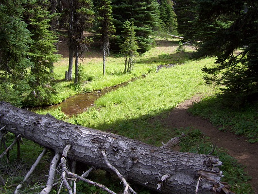 Crow Lake Trail.